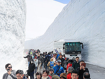 「雪の大谷ウオーク」満喫　雪壁の高さ１７メートル