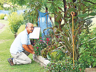 ６画家の作風、花で表現　県中央植物園でアートガーデン見頃