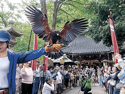 タカの妙技に歓声　金沢のグループ、安全祈願祭