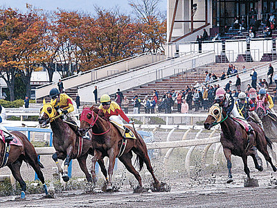 北海道復興　レースで支援　金沢競馬、売上一部寄付