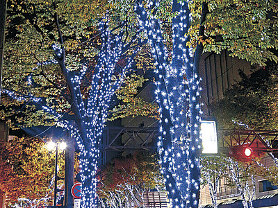 金沢に幻想の光　ツリーファンタジー点灯