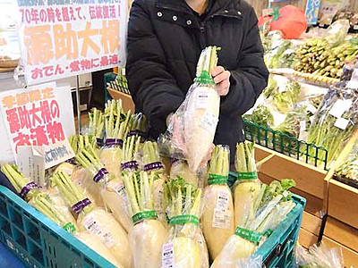 復活「源助大根」泰阜で本格出荷　金沢市産は「加賀野菜」