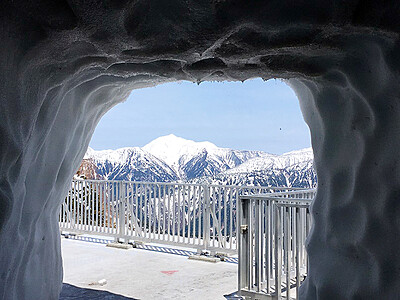４月１５日から雪の大谷フェス　立山黒部アルペンルート