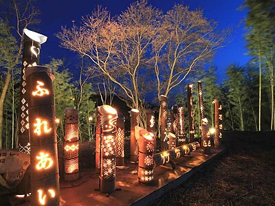 「しあわせ桜」竹灯籠でＰＲ　天竜峡で幻想的な明かり