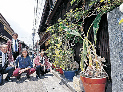 「観音町」個性に磨きを　金沢・東山、町名復活で記念行事