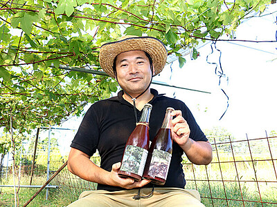 無農薬ブドウでワイン　婦中の農園管理会社 生産本格化