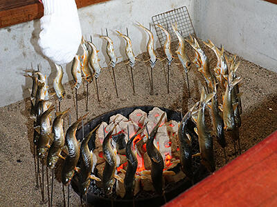 サクラウグイ食べに来て　小矢部の川魚料理店
