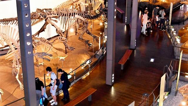 ６月１５日に再開した福井県勝山市の県立恐竜博物館
