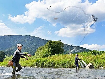 香魚狙う放物線　福井の足羽川など網漁解禁