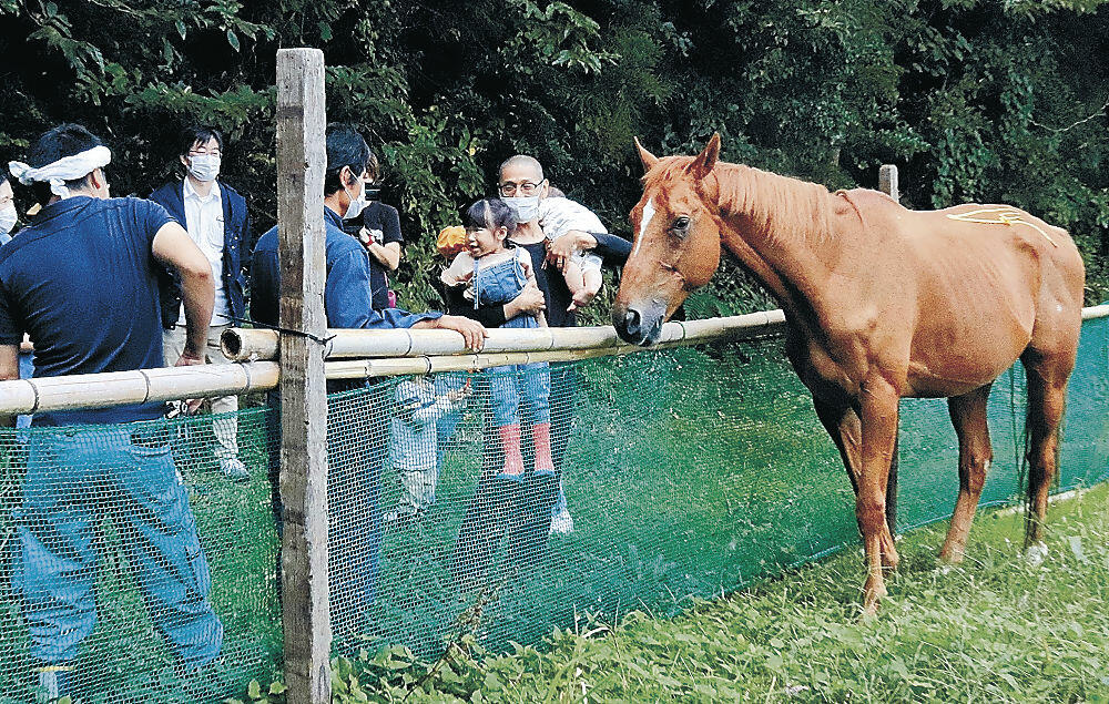 宿泊プラン利用者と共に休日を過ごす引退競走馬のドリームシグナル＝珠洲市三崎町細屋