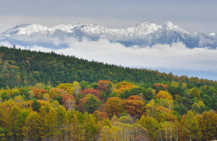 初冠雪した八ケ岳連峰と霧ケ峰高原の紅葉＝１８日午後１時３６分