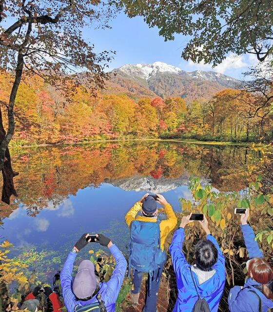 冠雪した三ノ峰と紅葉が水面に映り込む刈込池＝１０月２６日、福井県大野市上打波