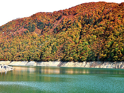湖面と紅葉 鮮やかなコントラスト　南砺・桂湖周辺