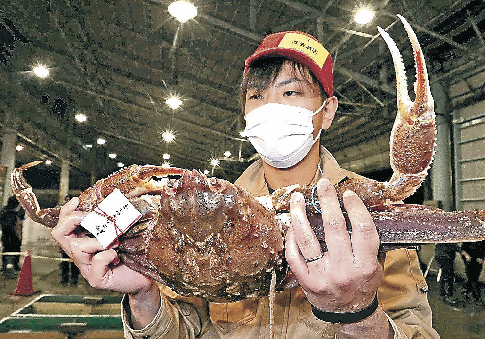 １匹４０万円で落札された大物の加能ガニ＝金沢市のかなざわ総合市場
