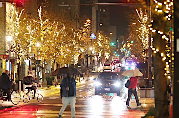 街路樹が電飾で彩られた中央通り＝７日午後５時半、長野市