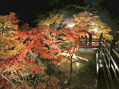 色づく秋のいざない 紅葉見ごろ　弥彦公園