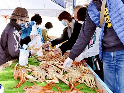 越前がに朝市、11月29日までの土日祝に開催　福井県越前町の道の駅前広場で　新鮮の海産物一堂