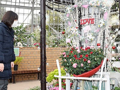 バレンタイン、花に囲まれ　福井県グリーンセンター
