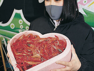 甘エビで　恋つかんで　石川県漁協西海支所　バレンタインに「海の宝石」