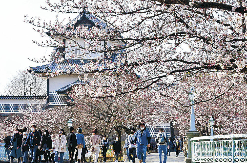 花が咲き始めたソメイヨシノの下を行き交う観光客＝金沢城公園