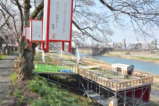 桜並木沿いに設けられた桜床＝２６日、福井市つくも１丁目
