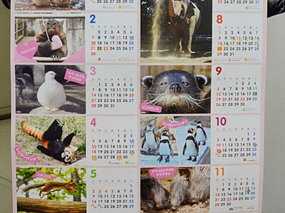 22年カレンダーの「顔」写真公募　長野の２動物園