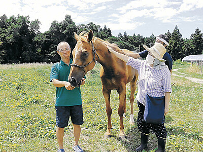 元競走馬、住民と触れ合い　珠洲・三崎で見学会　厩舎建設、不安を解消