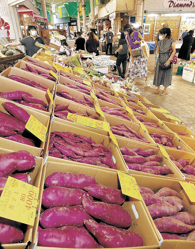 野菜の日に店頭に並んださまざまな五郎島金時＝金沢市の近江町市場