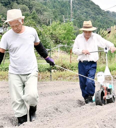機械を使って種をまく山口さん（右）と菅野さん＝８月３１日、福井県敦賀市杉箸