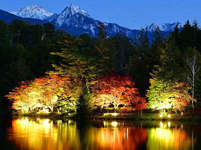 宵に輝く紅葉、湖面に映える　茅野・蓼科湖