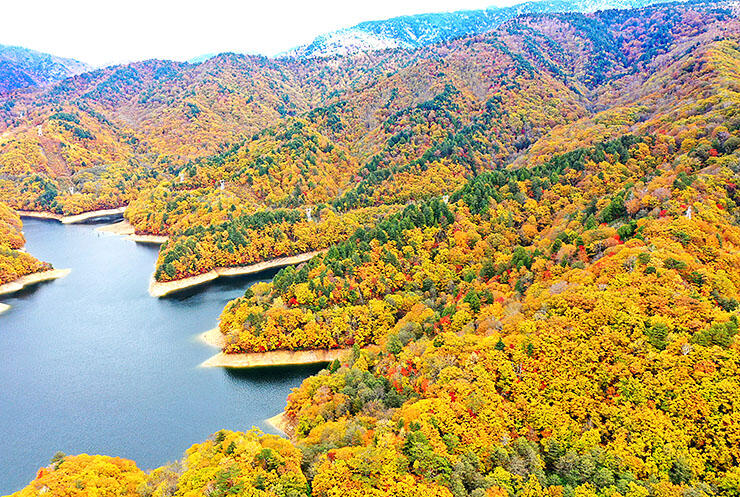 有峰湖周辺の紅葉
