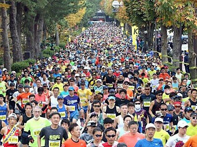 ２年ぶりランナーの波　第７回金沢マラソン　９８４３人が城下町快走　沿道に６万３千人