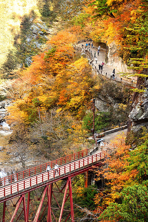 欅平駅周辺で紅葉を楽しむ観光客