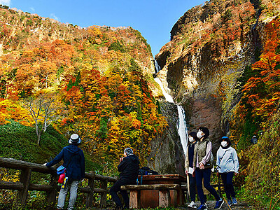 岩肌 燃える秋　立山・称名滝周辺、紅葉が最盛期