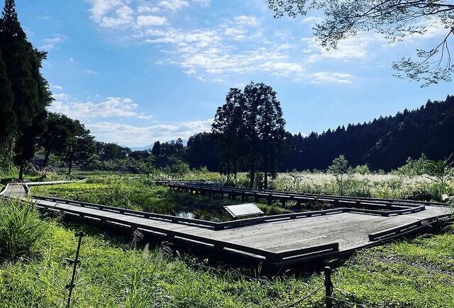 中池見湿地の散策ルート＝福井県敦賀市