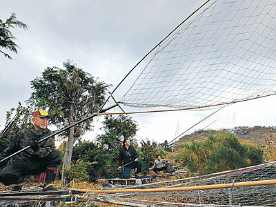 加賀・片野鴨池　伝統の坂網猟始まる