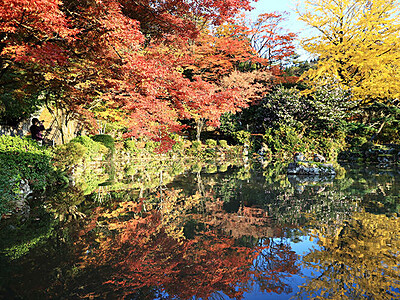 水面対称の美　大沢野・寺家公園