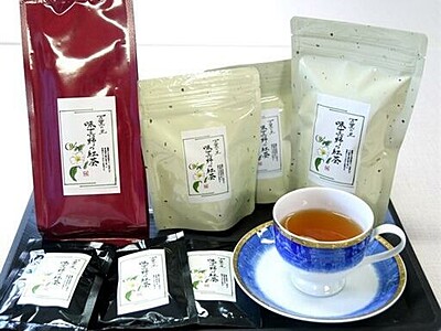味真野茶を紅茶に　お茶作り復興へ、福井県越前市