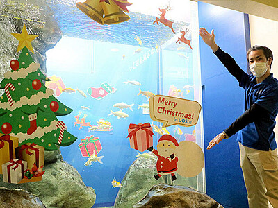 魚とＸマス写真いかが　魚津水族館内に撮影スポット