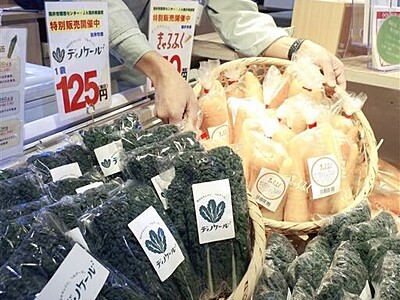 福井市特産の野菜「ディノケール」「きゃろふく」　福福館でＰＲ販売