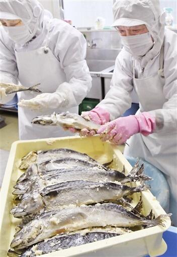 たる上げされた「鯖の熟れ鮨し」＝１２月１７日、福井県勝山市北谷町北六呂師の加工場