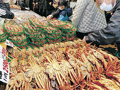 石川県内コウバコガニ漁終了　漁獲量、前年上回る７８トン