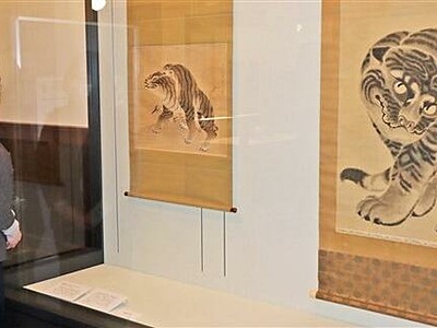 絵画、水引幕で迫力の虎　敦賀市立博と山車会館で特別展示