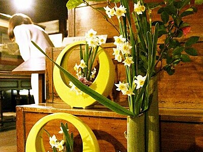 盛りの水仙、こだわりの花器とともに　南越前町・北前船主の館で生け花展