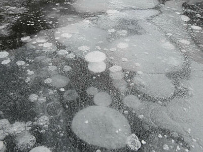 氷の中「バブル」の世界　南相木・立岩湖