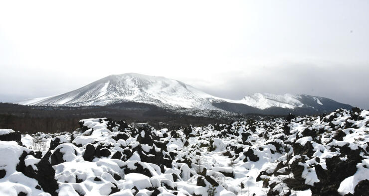 雪をまとう浅間山と溶岩。嬬恋村の鬼押出し園から白と黒のコントラストが楽しめる＝１日