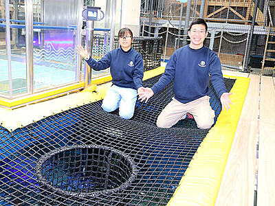 泳ぐ魚 水面間近で観察　魚津水族館、富山湾大水槽にネット遊具