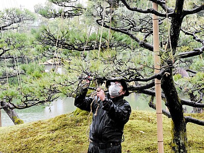 養浩館庭園が"春の装い"へ　福井県福井市、雪つり撤去