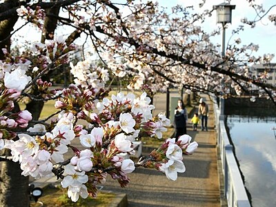 福井城址の魅力体感、4月3日「春まつり」　お堀でボート、御城印、茶屋開設など