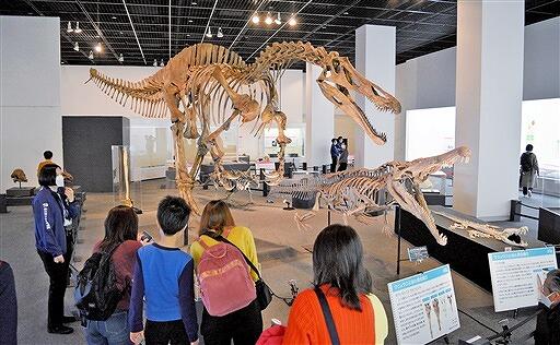 全長１０メートル超の全身骨格などが並ぶ企画展＝福井県勝山市の県立恐竜博物館